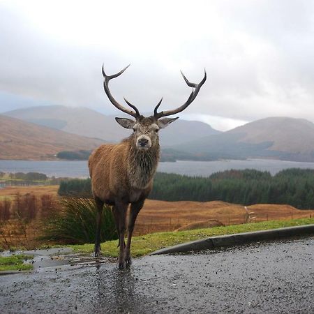 Clifton Cottage B&B Tyndrum Εξωτερικό φωτογραφία