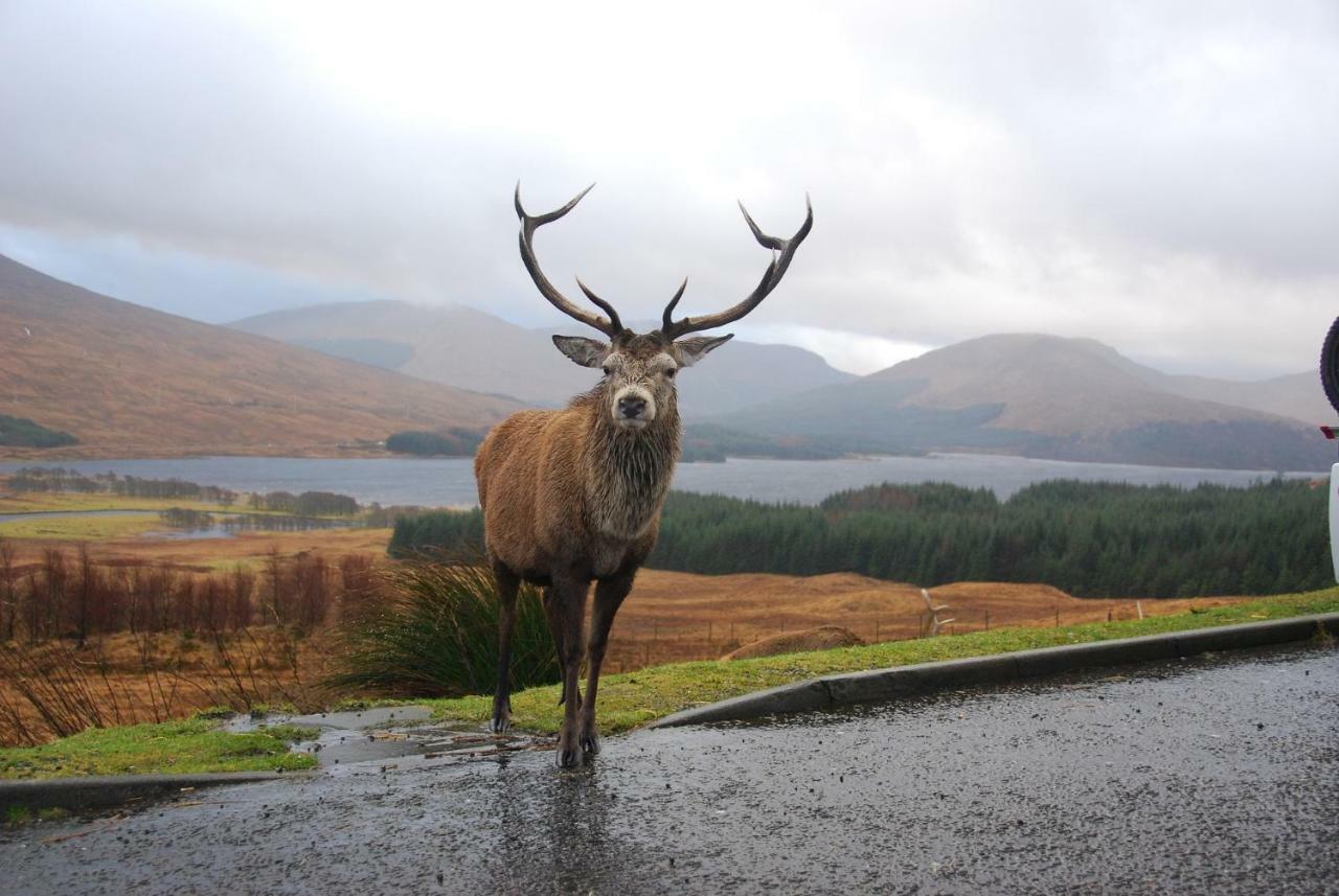 Clifton Cottage B&B Tyndrum Εξωτερικό φωτογραφία